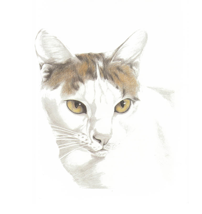 Cat Painting - Schnuffley by Phil Welsher
