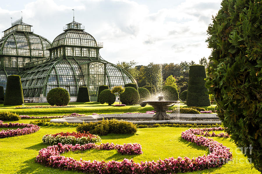 Schonbrunn Gardens- B Photograph