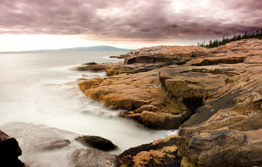 Schoodic Point 6041 Photograph by Brent L Ander