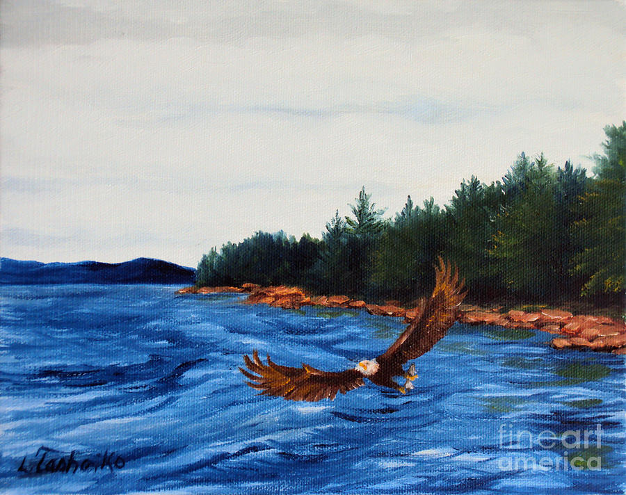 Acadia National Park Painting - Schoodic Point Bald Eagle by Laura Tasheiko