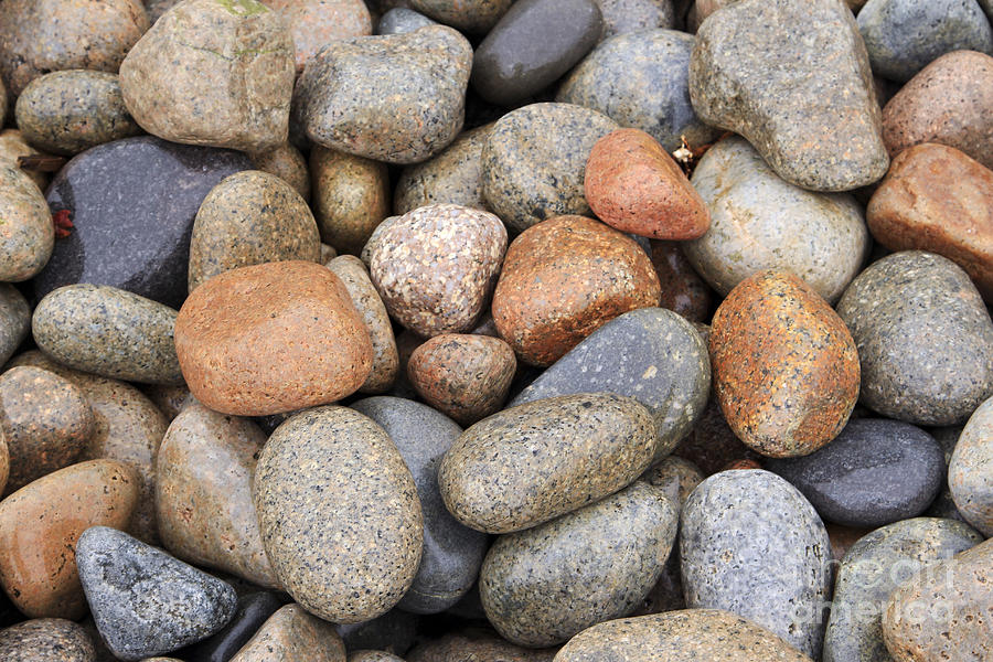 Schoodic Rocks Photograph by Karin Pinkham