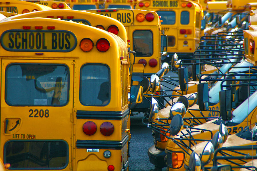 School Bus Photograph by Mitch Cat