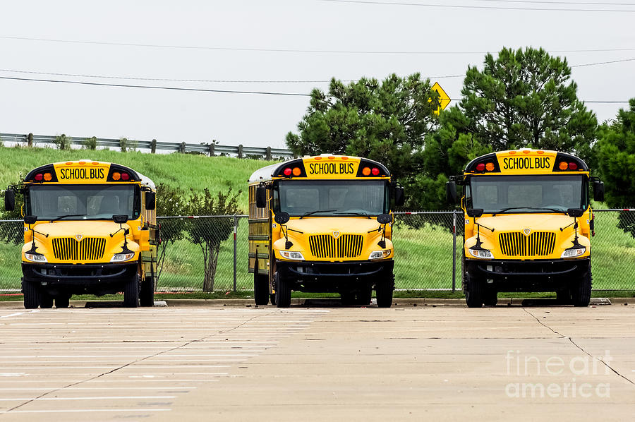 School Buses Photograph by Imagery by Charly