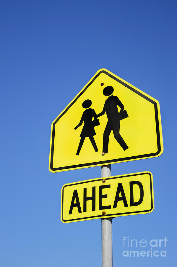 School Crossing Sign by Bryan Mullennix