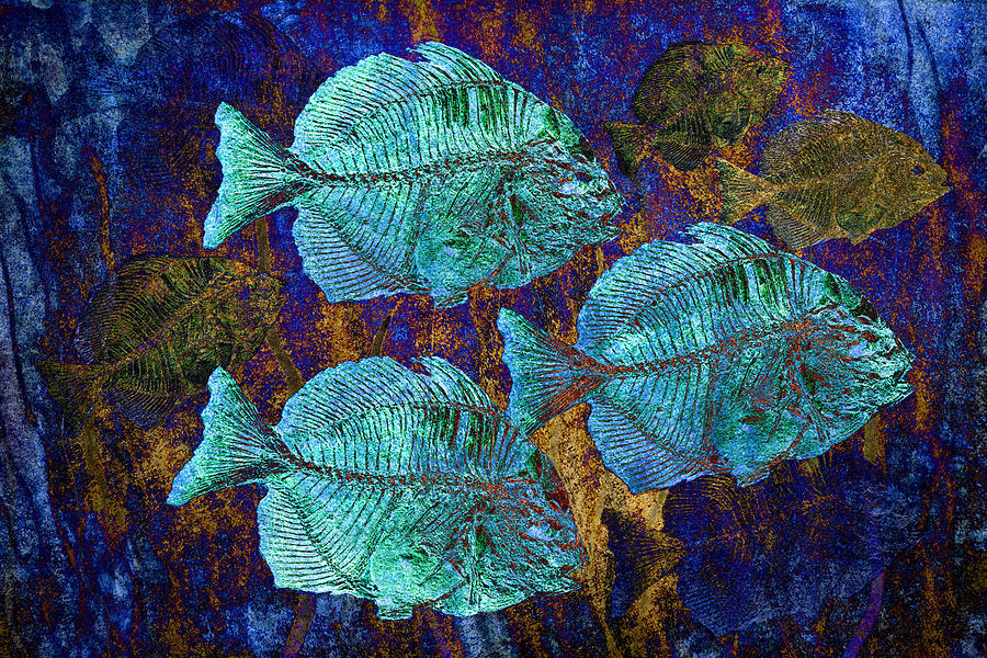 School of Fossil Fish Digital Art by Sandra Selle Rodriguez