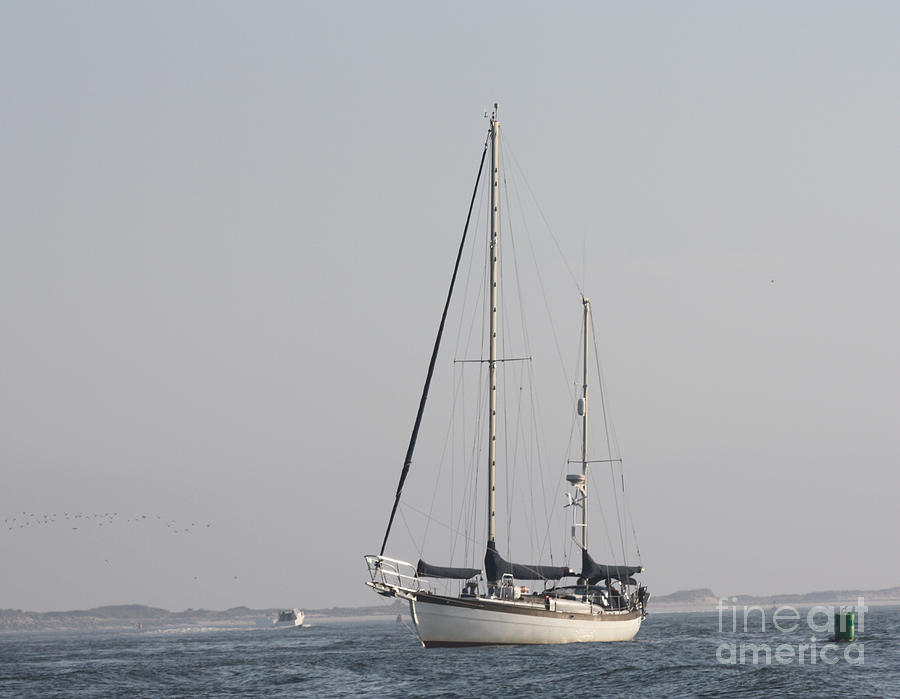 Schooner Coming To Port Photograph by John Telfer