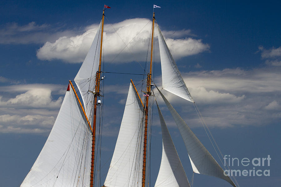 Sails Photograph - Schooner Germania Nova Sails by Dustin K Ryan