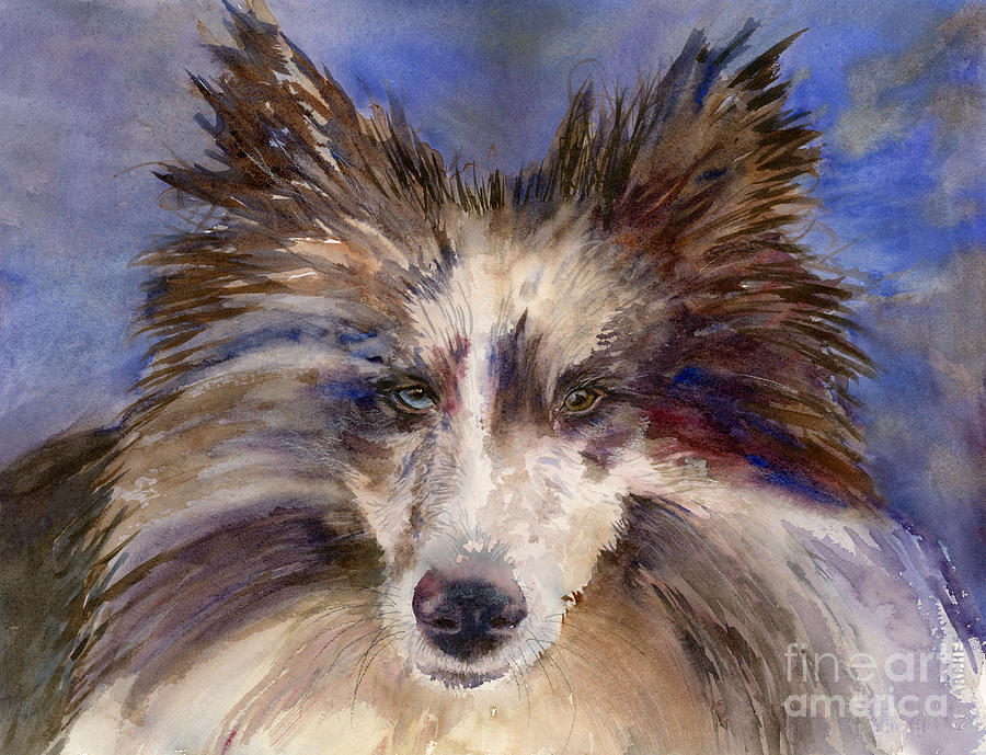 Dog Painting - Schooner in Color by Amy Kirkpatrick