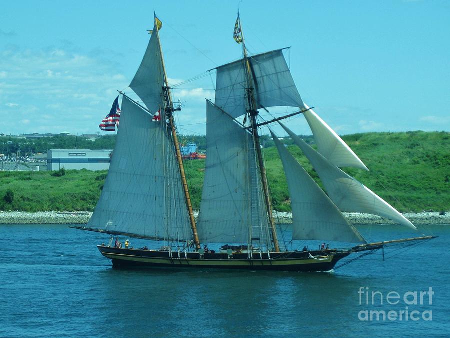 Boat Photograph - Schooner in Halifax Harbour by John Malone
