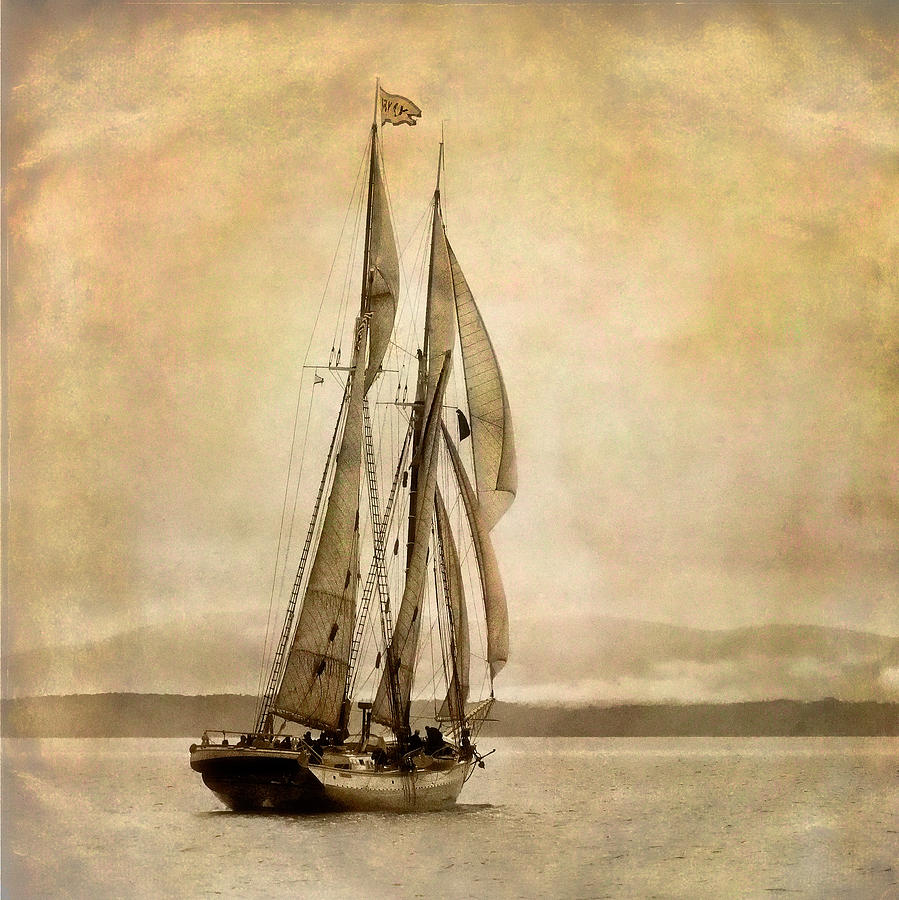 Schooner Mary Day Photograph by Fred LeBlanc