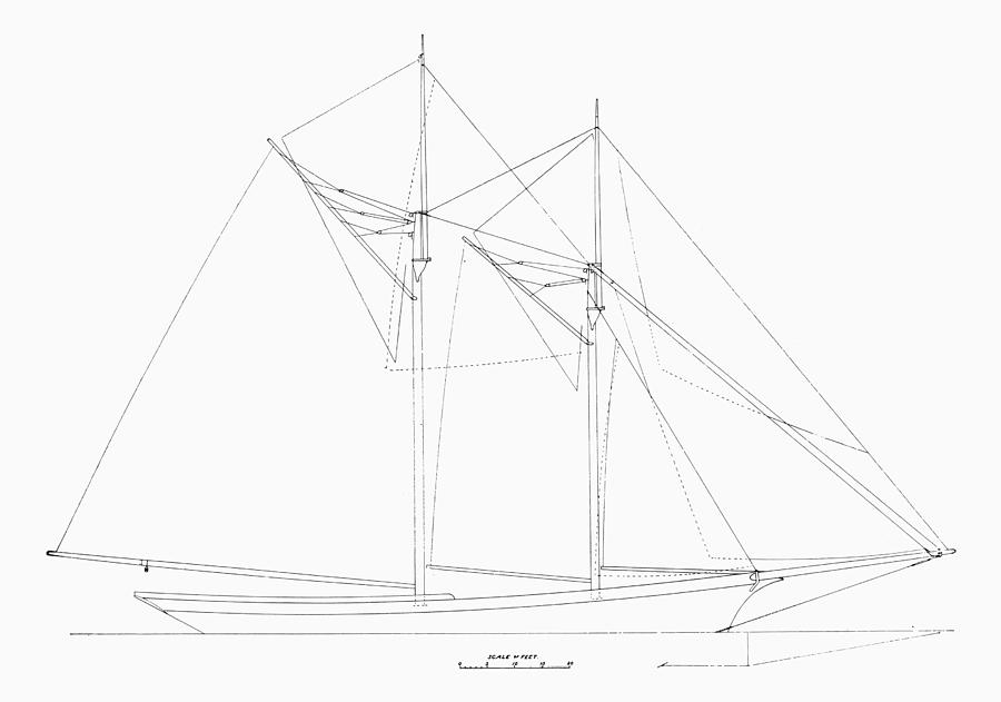 Schooner Sail Plan, 1889 Photograph by Granger