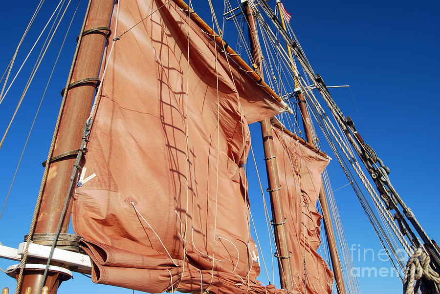 Schooner Sails I Photograph by Rosemarie Morelli
