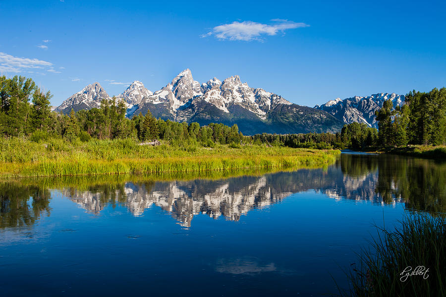 Schwabacher Landing Photograph By Dave Gilbert - Fine Art America