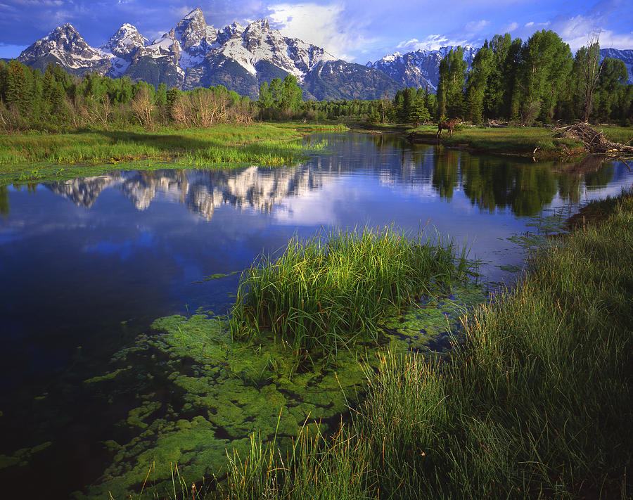 Schwabacher Landing Photograph by Ray Mathis