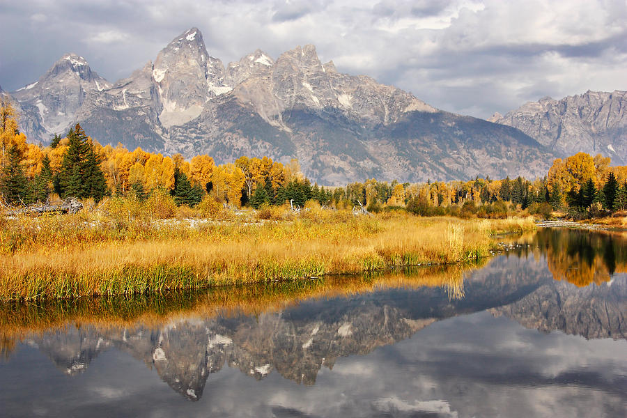 Schwabacher Reflections Photograph by Theo OConnor