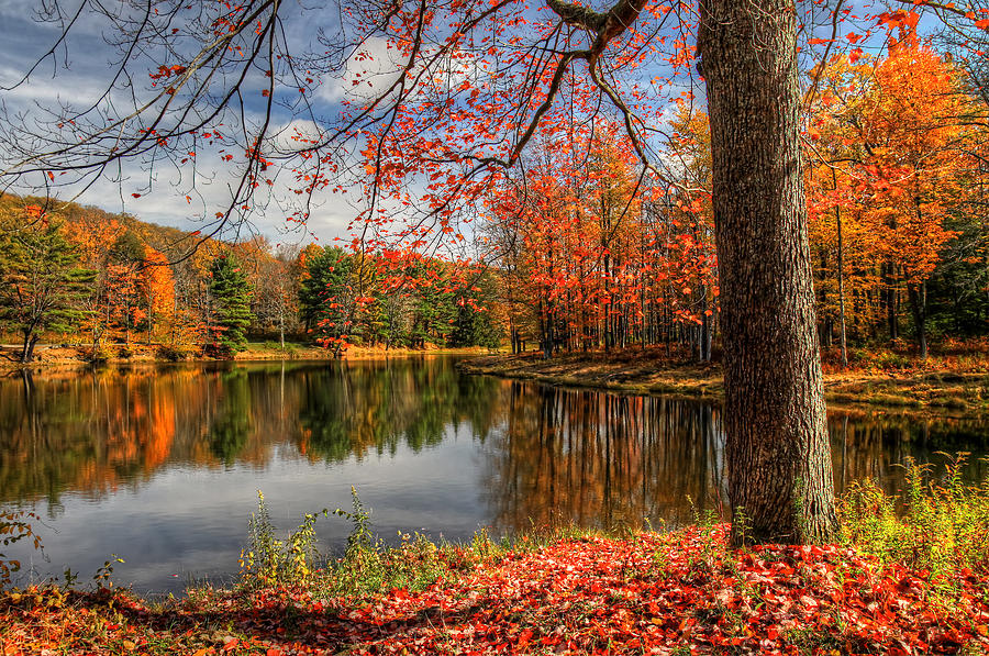 Science Lake Autumn Photograph by Terry Cervi - Fine Art America