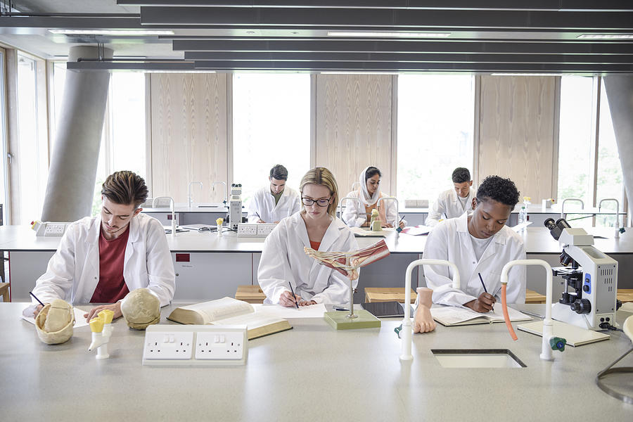 Science students in laboratory with anatomical models, making notes Photograph by JohnnyGreig