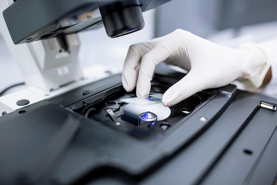 Scientist Adjusting Microscope Slide Photograph by Science Photo ...