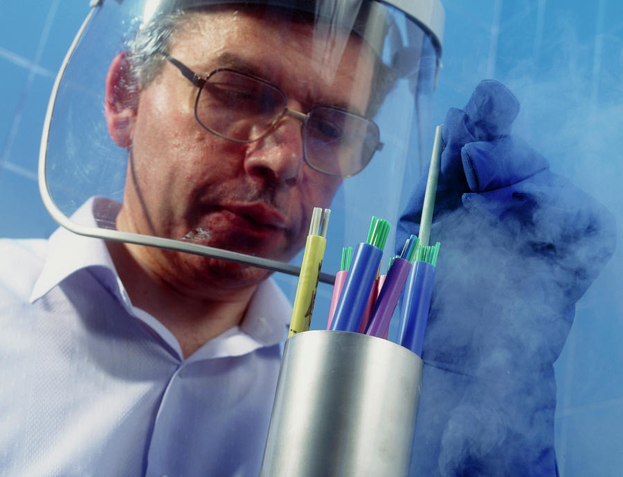 Scientist With Frozen Semen Of Rare Animals Photograph by David Parker/science Photo Library