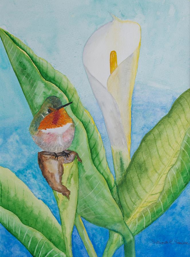 Scintillant Hummingbird on Calla Lily Painting by Patricia Beebe