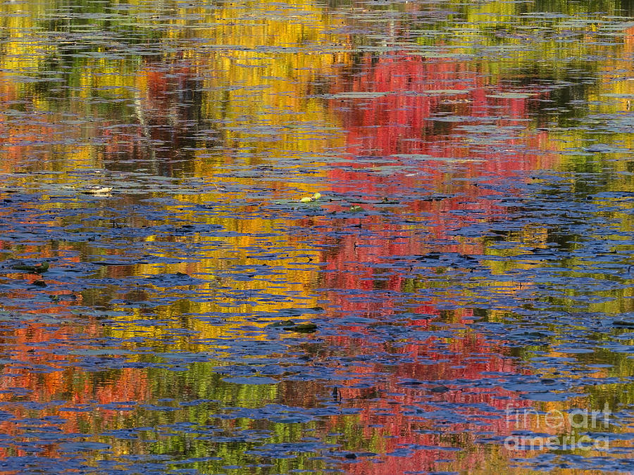 Scituate Autumn Abstract Photograph by Lili Feinstein