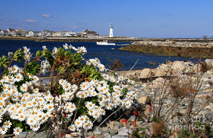 Scituate Harbor Light-Fall Photograph by Butch Lombardi