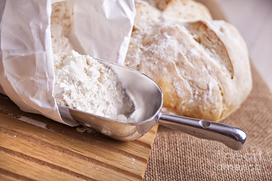 Scoop of flour and fresh bread Photograph by Sophie McAulay - Fine Art ...