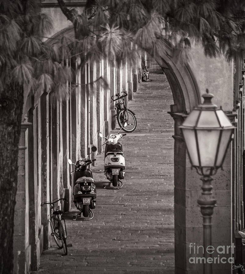 Scooters and Bikes Photograph by Prints of Italy