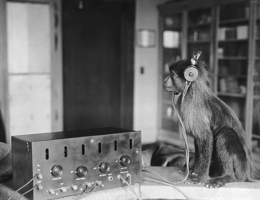 Animal Photograph - Scopes Trial Listener by Underwood Archives