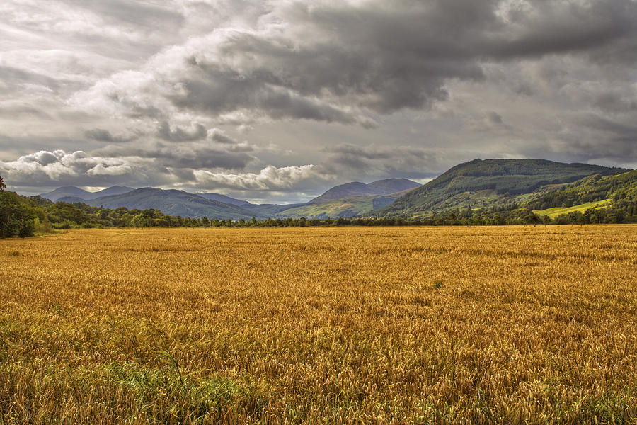 Landscape Photograph - Scotland - Golden Fields and Green Hills by Jason Politte