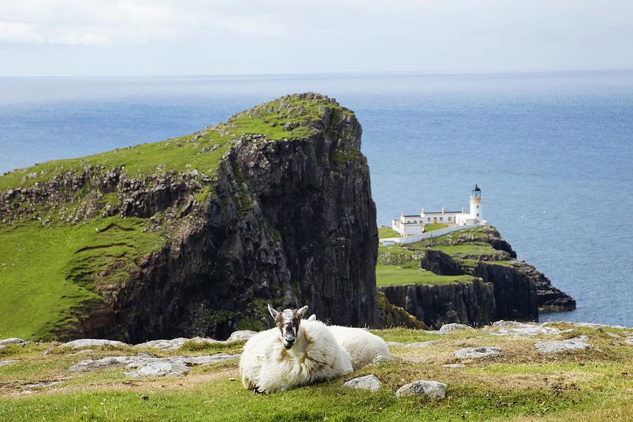 Scotland,highland Region,isle Of Photograph by Eurasia Press Scotland,highland Region,isle Of Photograph by Eurasia Press