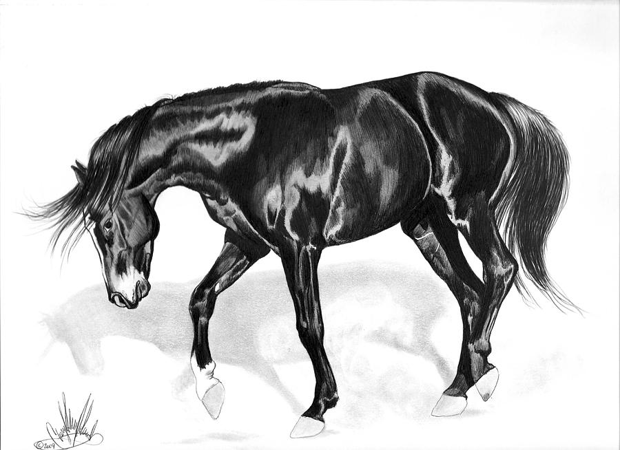 Horse Drawing - Scottish Gold - Registered Thoroughbred by Cheryl Poland