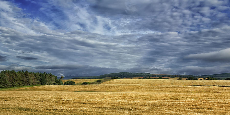 Scottish Highlands - United Kingdom Photograph by Copyright Frank Smout Images