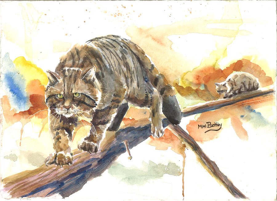 Scottish Wildcat Tom Painting by Mimi Boothby
