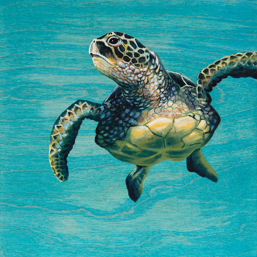 Scotty's Turtle Painting by Emily Brantley - Fine Art America