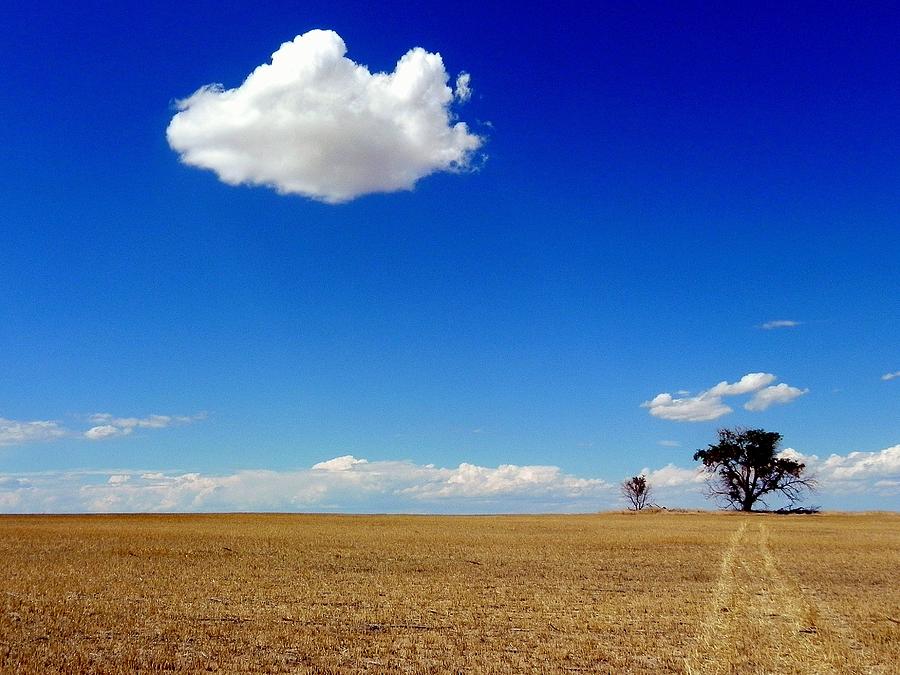 Scout Cloud Photograph by Mickey Murphy | Fine Art America