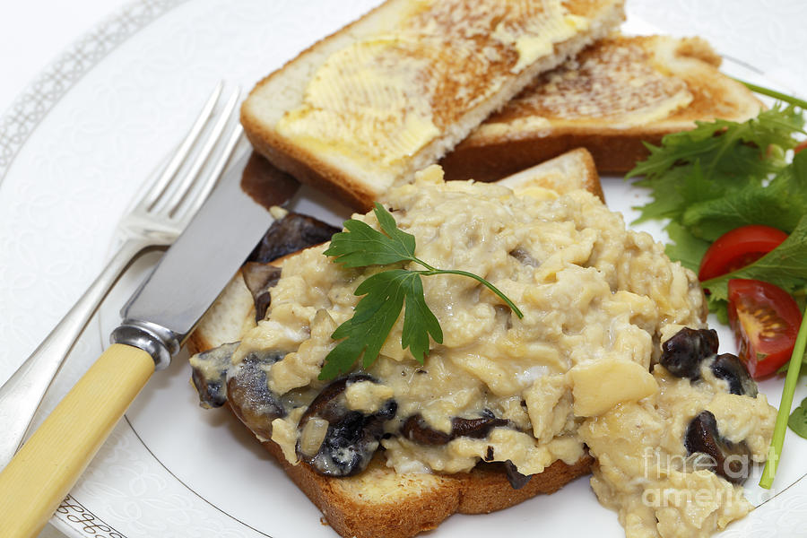 Scrambled egg with mushrooms meal Photograph by Paul Cowan