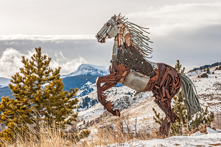 Scrap Metal Rearing Horse Photograph by Sue Smith