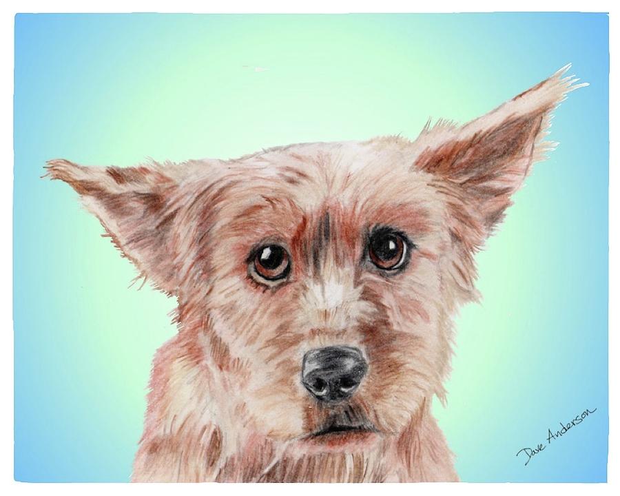 Nature Mixed Media - Scrappy Humane Society Sweetie by Dave Anderson