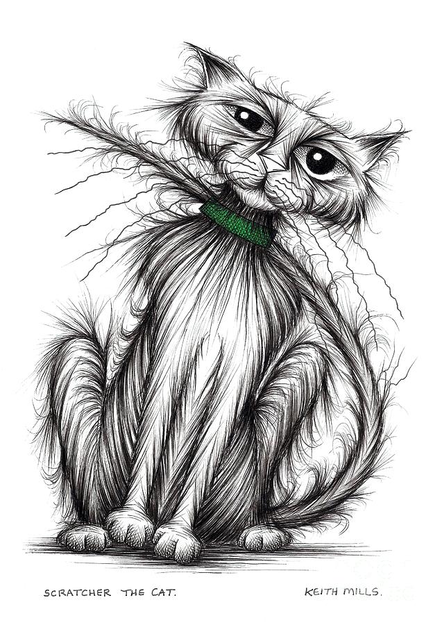 Scratcher the cat Drawing by Keith Mills
