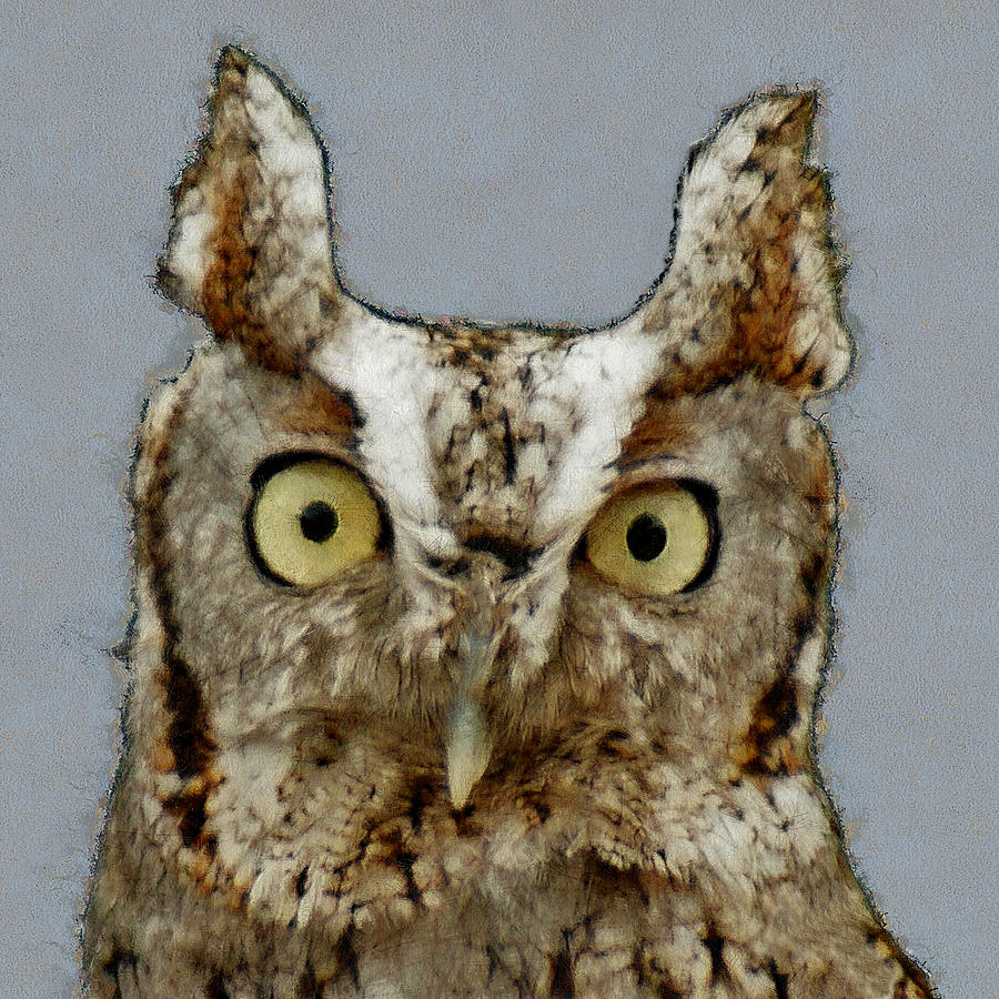 Screech Owl painterly  Digital Art by Ernest Echols
