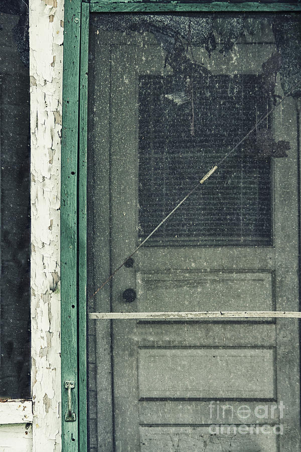Screen Door Photograph by Margie Hurwich