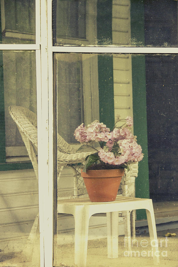 Flower Photograph - Screened Porch by Margie Hurwich