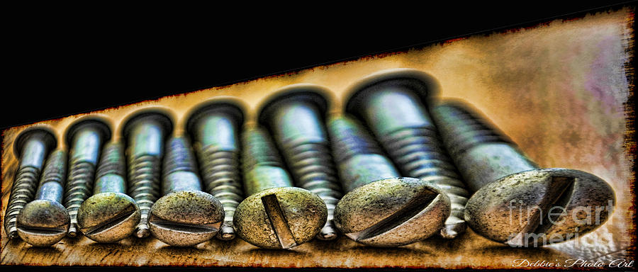 Screws all lined up 2 Photograph by Debbie Portwood