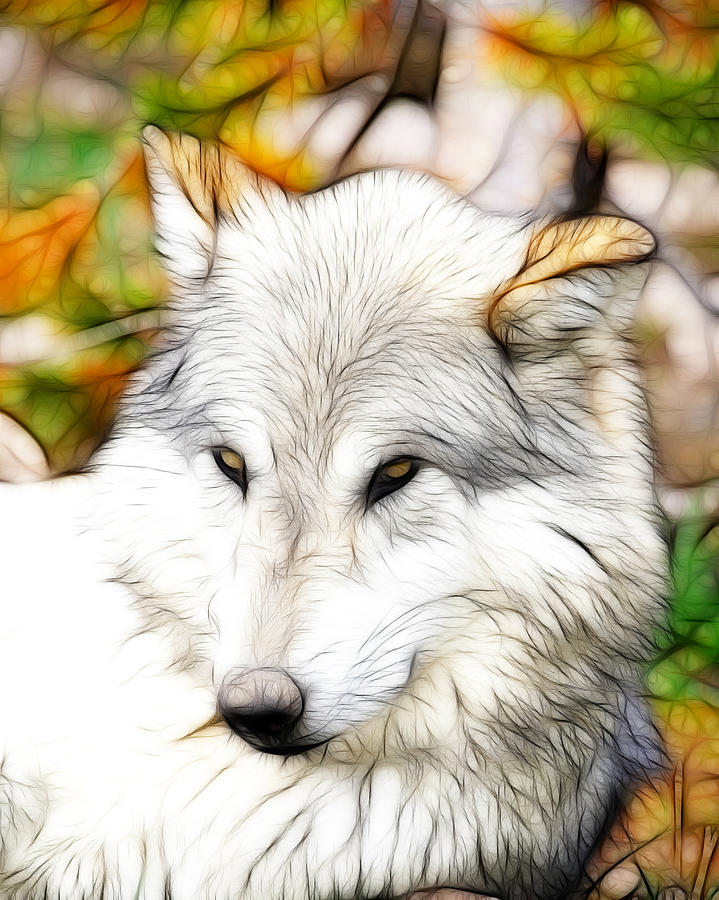 Wolves Photograph - Scrimshaw Wolf by Steve McKinzie