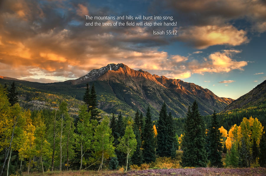 Scripture and Picture Isaiah 55 12 Photograph by Ken Smith