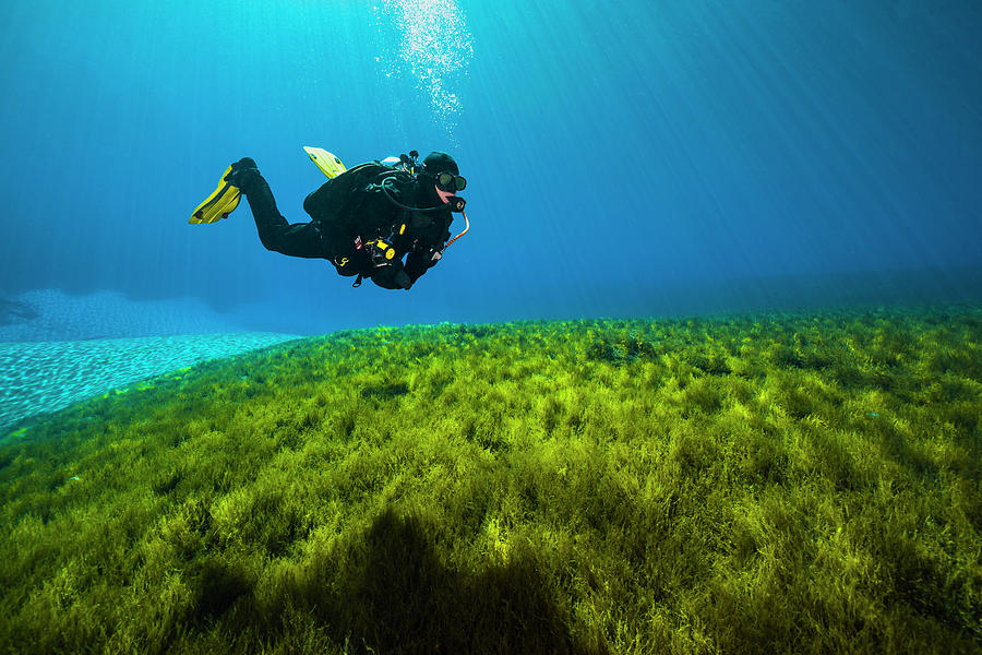 Scuba Diver In Clear Lake, Oregon Photograph By Jennifor Idol - Fine ...