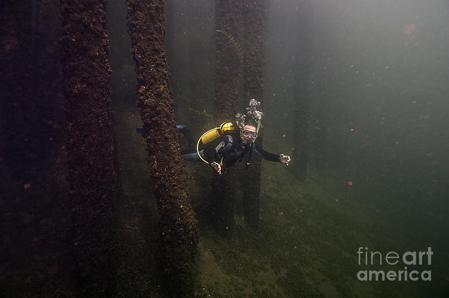 Scuba Diver in Welland Photograph by JT Lewis