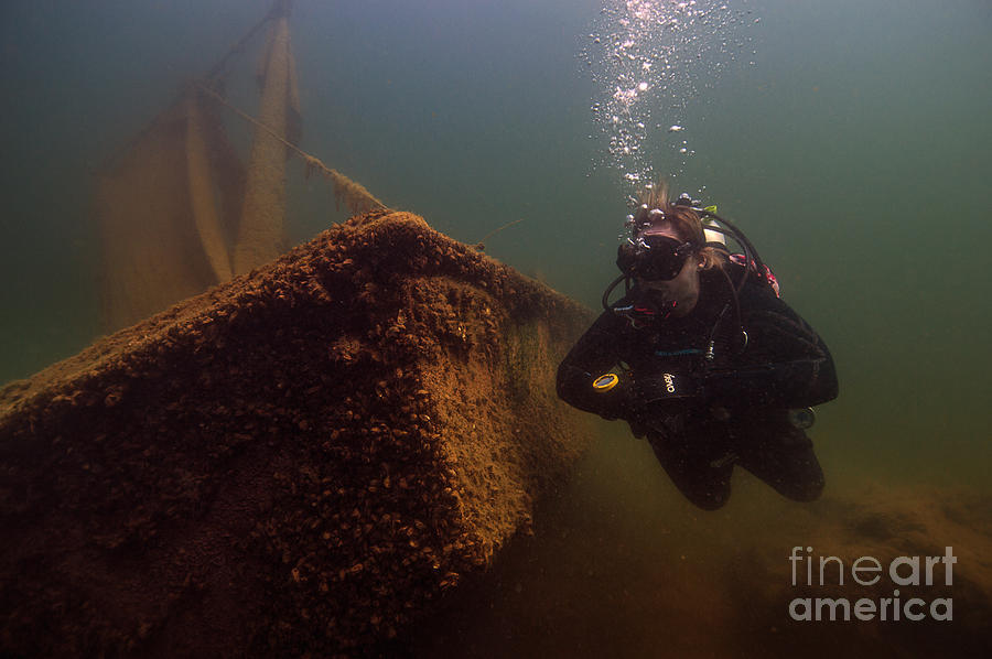 Scuba Diver Photograph by JT Lewis