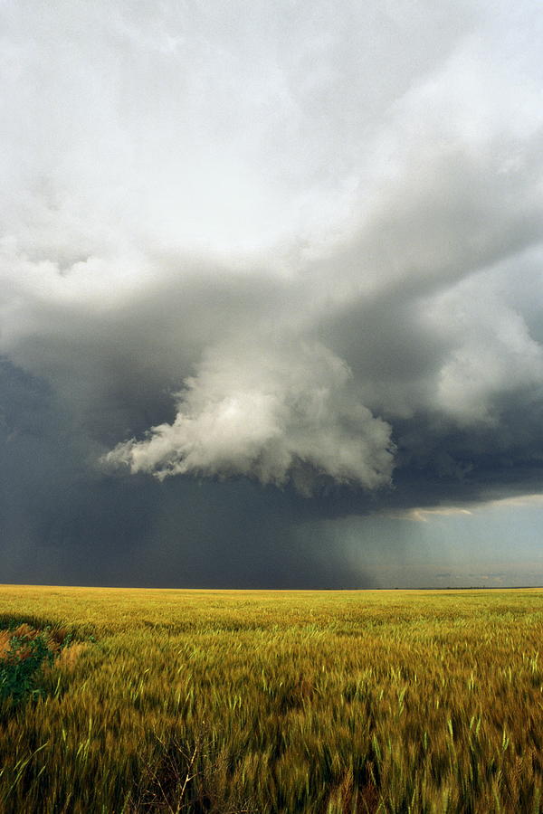 Scud Cloud Photograph - Scud Cloud by Jim Reed/science Photo Library